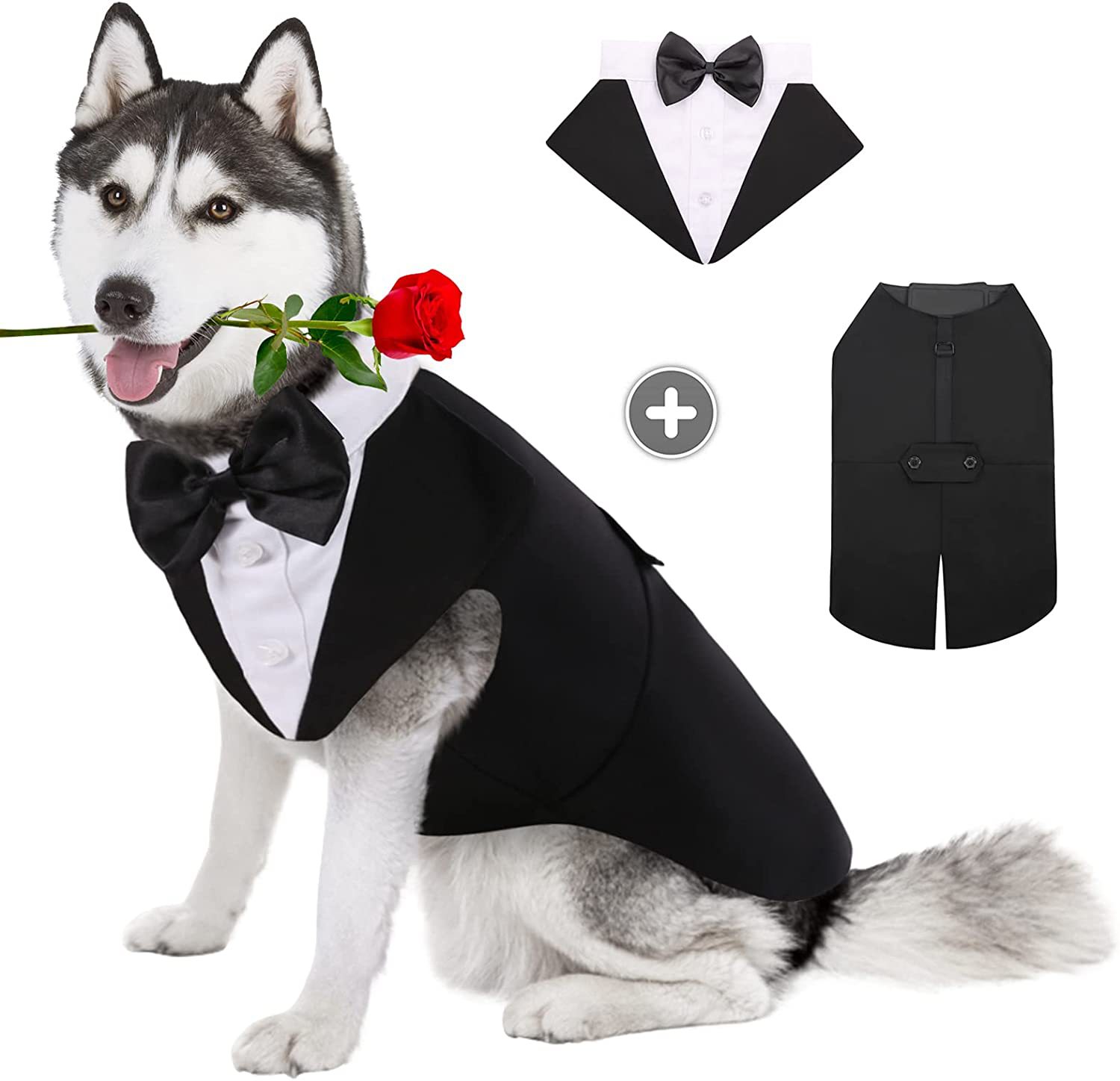 Pet köpek giysileri moda parti - Suit Supply Wedding Party incelemesi ve fiyatı